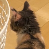 F原 (@on___93) 's Twitter Profile