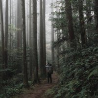 鬼塚 巧也 (onitaku)エコモード中 (@onitaku_photo) 's Twitter Profile Photo 鬼塚 巧也 (onitaku)エコモード中 (@onitaku_photo) 's Twitter Profile Photo