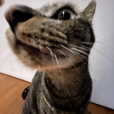 DaveyTDM's profile picture. Creator of Volta (TDS: Legacy)
I'm 18
Programmer
My name isn't a reference to dantdm trust