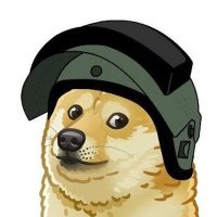Evelyn (@evedeerevelyn) 's Twitter Profile