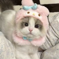 hm (@orangaringdh) 's Twitter Profile