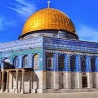 🌏محمد بن مالك اليماني🌏 (@alymany50270) Twitter profile photo