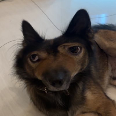 sanddeater's profile picture. 