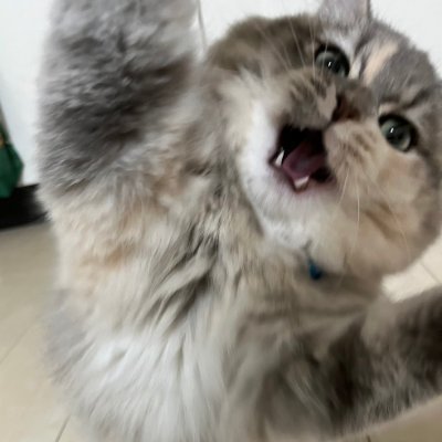 타카키 タカキさんのプロフィール画像