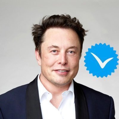 Space X🚀: CEO & Chief Engineer and Product Architect of The boringcompany Neturalink, OpenAl, Tesla, CEO Hyperloop; Founder CO-Founder-