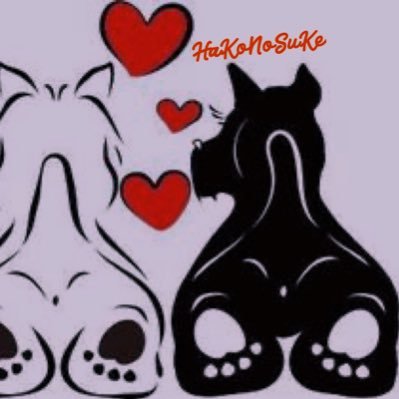 どーも!HaKoNoSuKeです!犬夜叉好きの女子です!私が良いと思う作品や日常を投稿してます✨気軽にコメントやフォローしてくれたら嬉しいです✨️宜しくお願いします✨️私が好きなアニメは#犬夜叉 #るろうに剣心 #呪術廻戦 #ドラゴンボール#ONEPIECEなど好きです♡クイズコーナーもしてるので参加してね💕︎