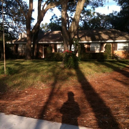 nprice44's profile picture. 