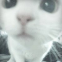 wai (@w0ikiki) 's Twitter Profile Photo