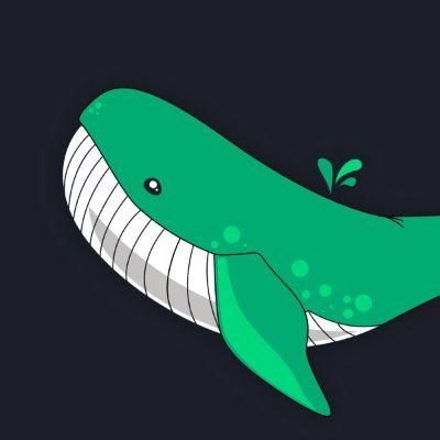 Sporttrade Whale Tracker 🐋 Profile