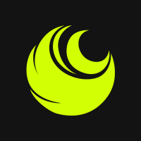 Insight (@insightxyz) 's Twitter Profile