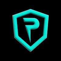 PizCORD - Customs (@pizcord) 's Twitter Profile