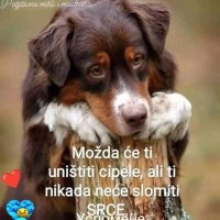 Nikola Pfc (@nikolapfc744334) 's Twitter Profile