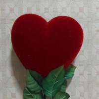 Pear Samniang (@niangnoi) 's Twitter Profile
