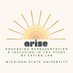 ARISElab (@ariselabmsu) Twitter profile photo