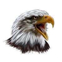 Harmony ISD Athletics (@harmonyisd80486) 's Twitter Profile