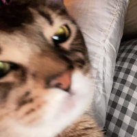 ibiru (@talkabtwayv) 's Twitter Profile
