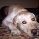 Eric Divelbiss - @edivel - Twitter