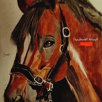 رابط اليوتيوب 👈🏻https://t.co/P6GVLIWfZB        

الصفحة الرسمية على الفيس بوك👇🏻