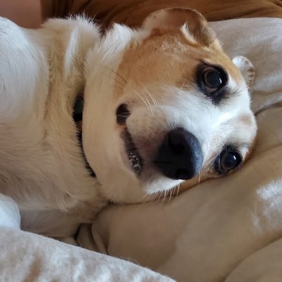 amigokin's profile picture. Me gusta mucho la frase de Fontanarrosa cuando le preguntaron qué soñaba para su hijo: “Que sus amigos sonrían al verlo llegar”