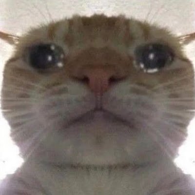 NeutralV7084's profile picture. 