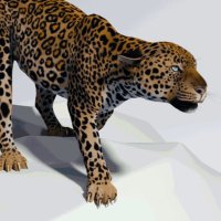 Jaguar(@v132576531) 's Twitter Profile Photo