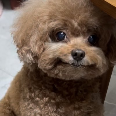 kaydenさんのプロフィール画像