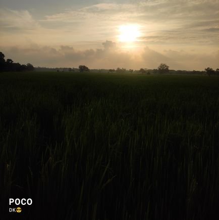 Dhinesh51876181's profile picture. Love Anyone💙 But Don't lie💔