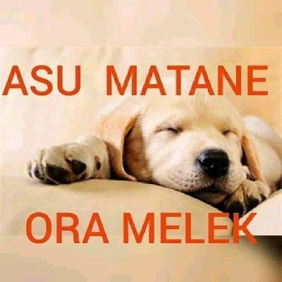 lelaki