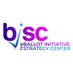 BISC (@BallotStrategy) Twitter profile photo