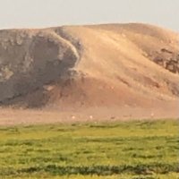 المرقب العالي (@alaslamnet) Twitter profile photo