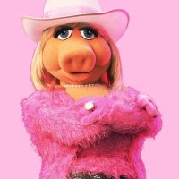 Deb K (@deb55106) 's Twitter Profile