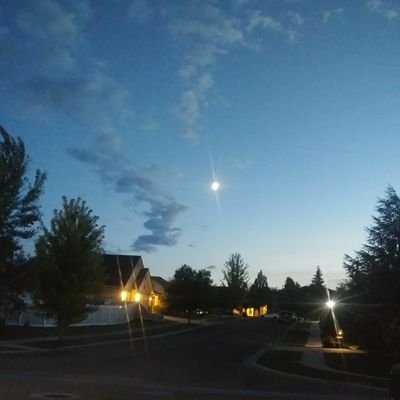 1123cpo's profile picture. libertarian, single, no kids