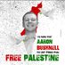 Palestine for Palestinians (@politicaljunked) Twitter profile photo