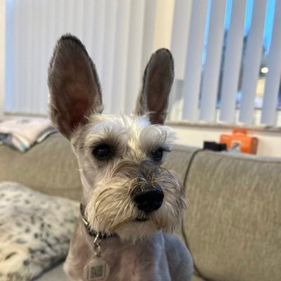 MitchGreeneLaw's profile picture. https://t.co/bvQWgATNNC concentrates on traffic matters, criminal infractions and personal injury surrounding vehicles.