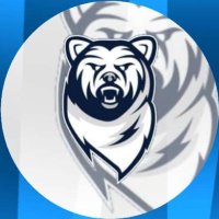 Cold Bear Esport Bêta(@ColdBear_CR) 's Twitter Profile Photo