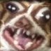 Paltay (@paltayleweaboo) Twitter profile photo Paltay (@paltayleweaboo) Twitter profile photo