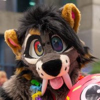 🌈Kaluna Tiger 🐅(@KalunaPup) 's Twitter Profile Photo