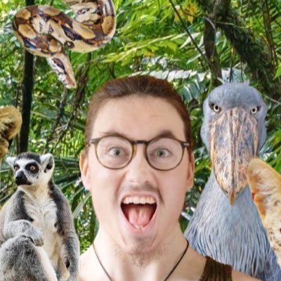 Hey mammals! 🦍 Wildlife filmmaker 🎥 & Nature enthusiast 🦅My mission is to reconnect humans with nature! 🌿🐆