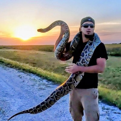 Python Hunting, Crypto and Hurricanes.