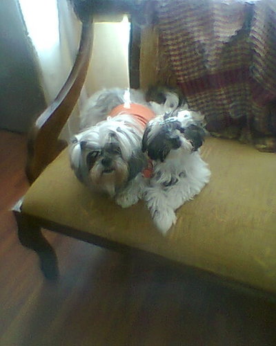 RuthCarrion3's profile picture. Ecuatoriana de nacimiento, me interesa tener amistad con personas inteligentes, de buenos principios y de corazón sano.