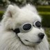 Pebber (@zzpebb) Twitter profile photo Pebber (@zzpebb) Twitter profile photo