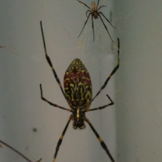 muso_you's profile picture. 떠나자!!낯선 곳으로...