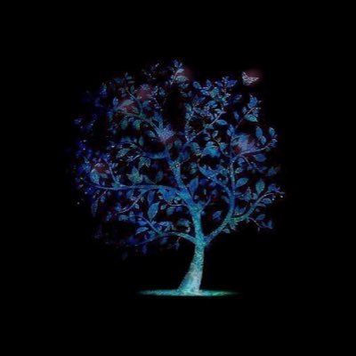 IAU | CYS