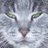 BarbaraVitali's profile image