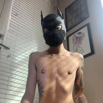 alex :) @xogoodboy || he/him || 24 || pup jupiter || owned by @dilfmade 🩶