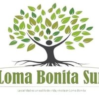 Loma Bonita Sur (@loma_bonita_sur) 's Twitter Profile