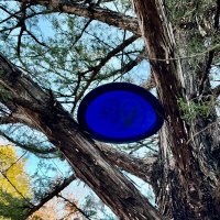 Full Send DG (@fullsenddg) 's Twitter Profile