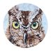 Christine Sansbury (@sansburychris) Twitter profile photo Christine Sansbury (@sansburychris) Twitter profile photo