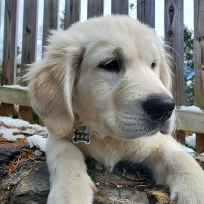 Miskocrypto's profile picture. Interested in crypto, nfts, and metasphere.
Hope to learn from other crypto enthusiasts and pass any knowledge I have to others.