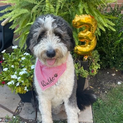 ConnieRiefke's profile picture. 